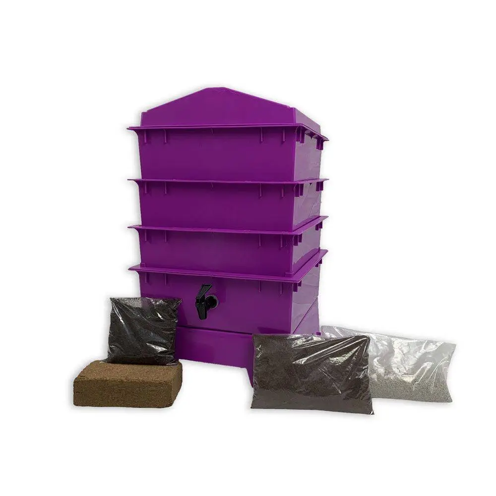 3 Tray Standard Tiger Rainbow Wormery Dark Orchid Purple 1 3 Tray Standard Tiger Rainbow Wormery Dark Orchid Purple