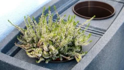 275L Noblesse Decorative Water Butt - Charcoal 10 275L Noblesse Decorative Water Butt - Charcoal -Gun Garden Shop 9000357k noblesse charcoal detail 3 16x9 900x506 jpg