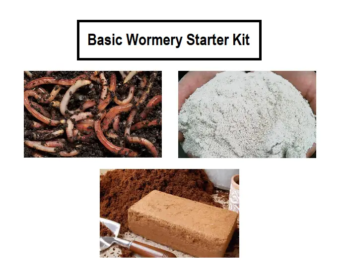 Basic Wormery Starter Kit 1 Basic Wormery Starter Kit