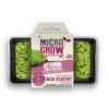 Micro-Grow Kit - Basil