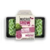 Micro-Grow Kit - Kale (Texael Green)