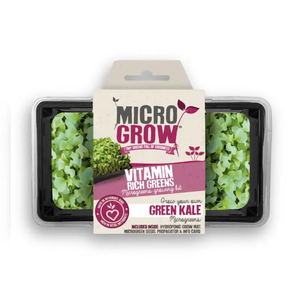 Micro-Grow Kit - Kale (Texael Green) 1 Micro-Grow Kit - Kale (Texael Green)