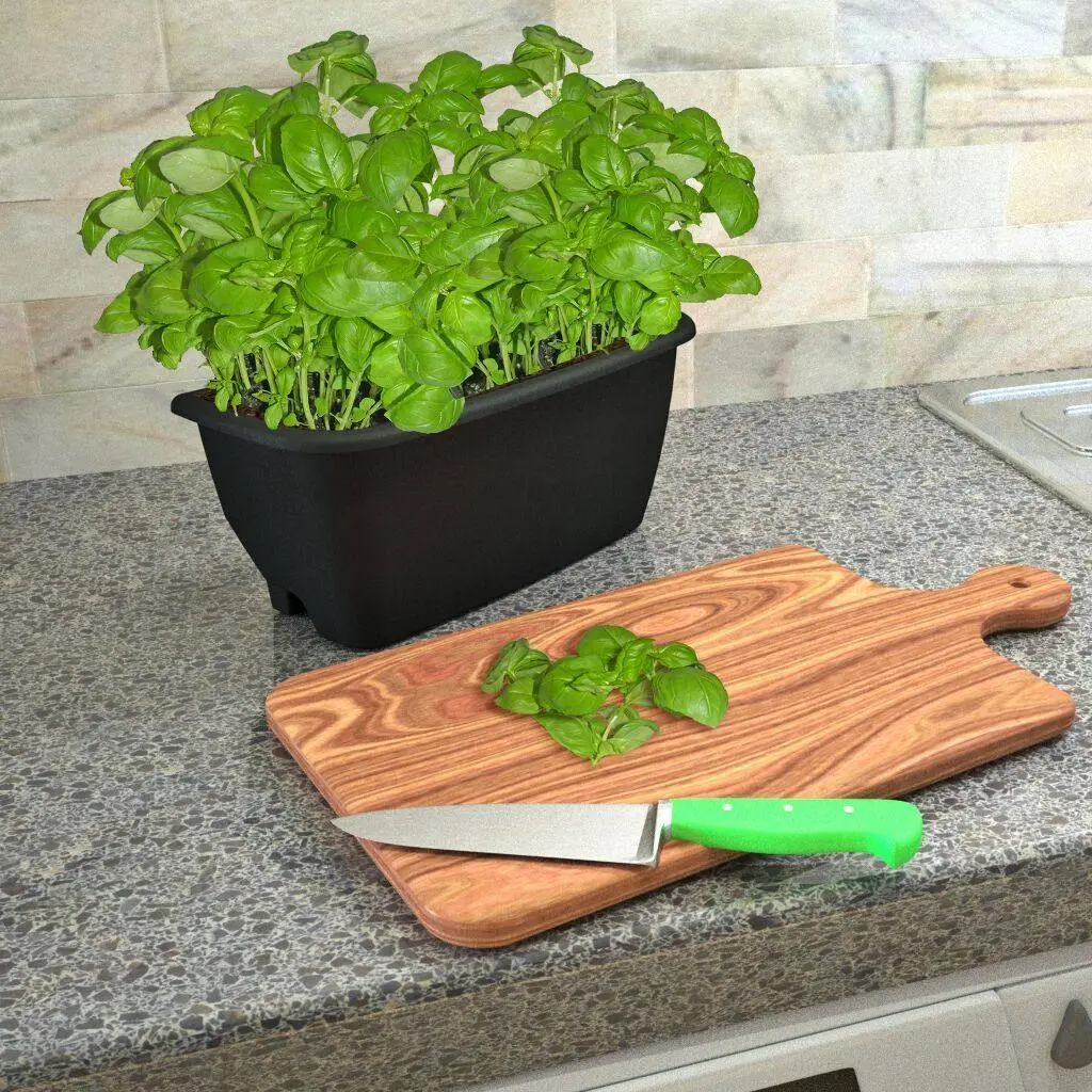 Rainwater Terrace 3 Pack Planter Kit - Black (3 Planters & 3 Capillary Mats) 2 Rainwater Terrace 3 Pack Planter Kit - Black (3 Planters & 3 Capillary Mats) - Image 2