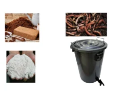 The Midi Wormery 9 The Midi Wormery -Gun Garden Shop midi collage 50 1 jpg