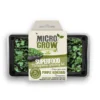 Micro-Grow Kit - Kohl Rabi