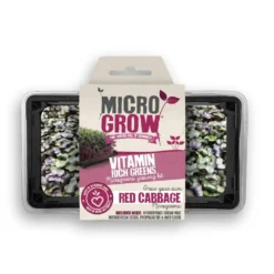 Micro-Grow Kit - Red Cabbage