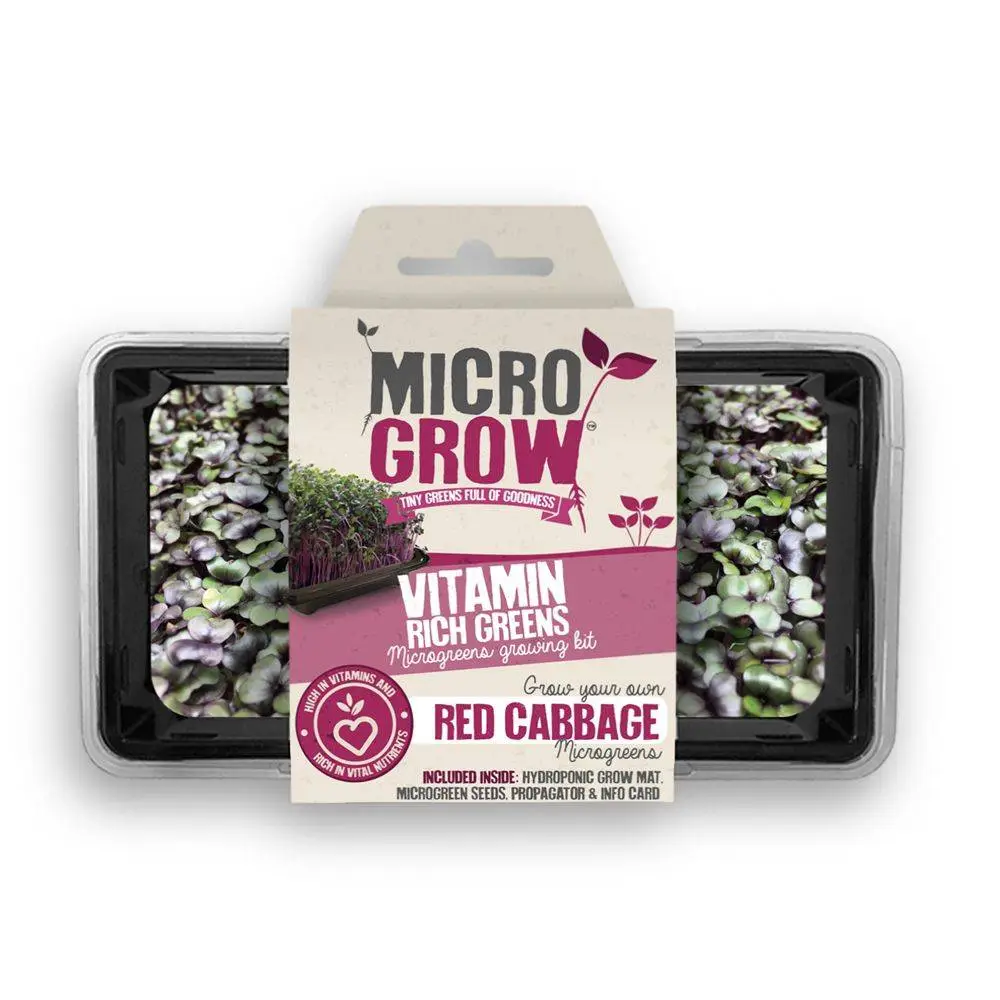 Micro-Grow Kit - Red Cabbage 1 Micro-Grow Kit - Red Cabbage