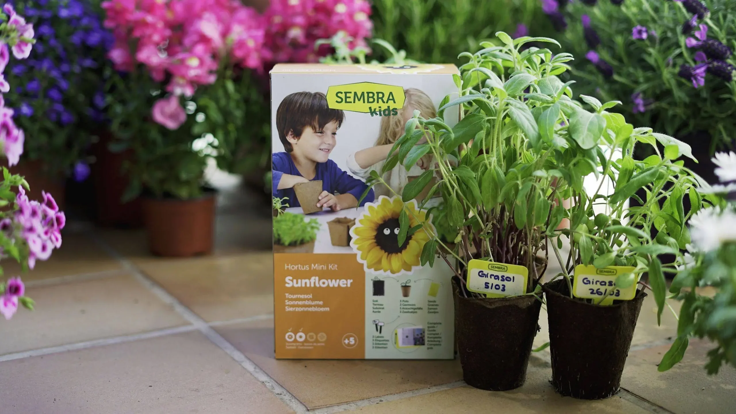 Sembra Kids Sunflower Garden Growing Kit 5 Sembra Kids Sunflower Garden Growing Kit - Image 5