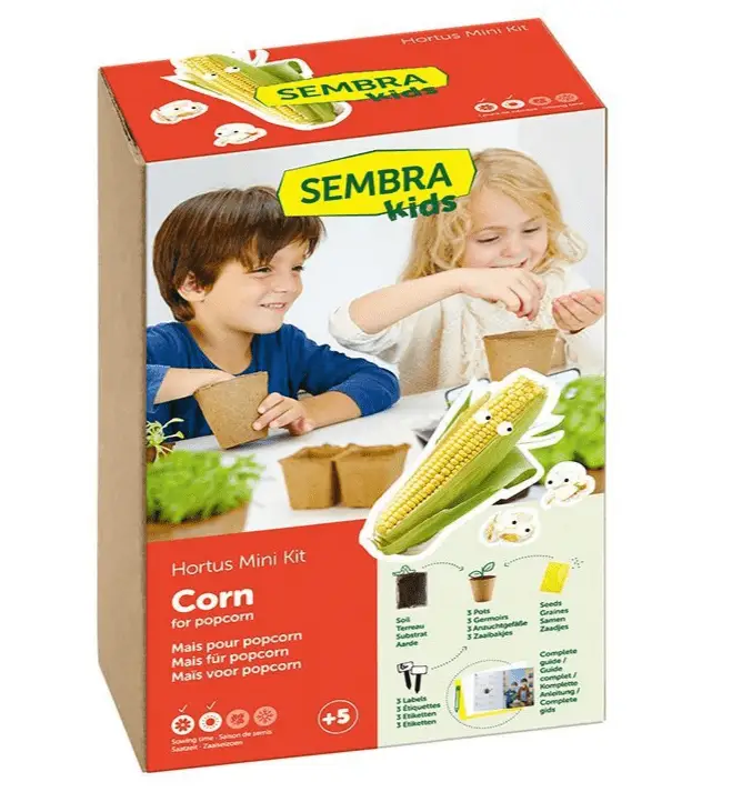 Sembra Kids Corn For Popcorn Vegetable Garden Growing Kit 1 Sembra Kids Corn For Popcorn Vegetable Garden Growing Kit