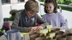 Sembra Kids Herbs Garden Growing Play Kit 11 Sembra Kids Herbs Garden Growing Play Kit -Gun Garden Shop sembra kids herbs labelling 1 jpg