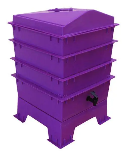 3 Tray Standard Tiger Rainbow Wormery Dark Orchid Purple 2 3 Tray Standard Tiger Rainbow Wormery Dark Orchid Purple - Image 2