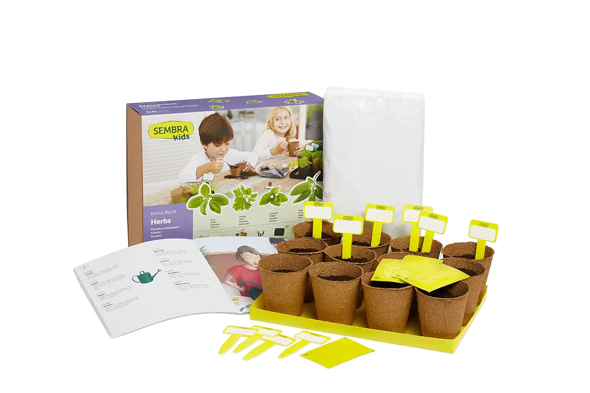 Sembra Kids Herbs Garden Growing Play Kit 6 Sembra Kids Herbs Garden Growing Play Kit - Image 6