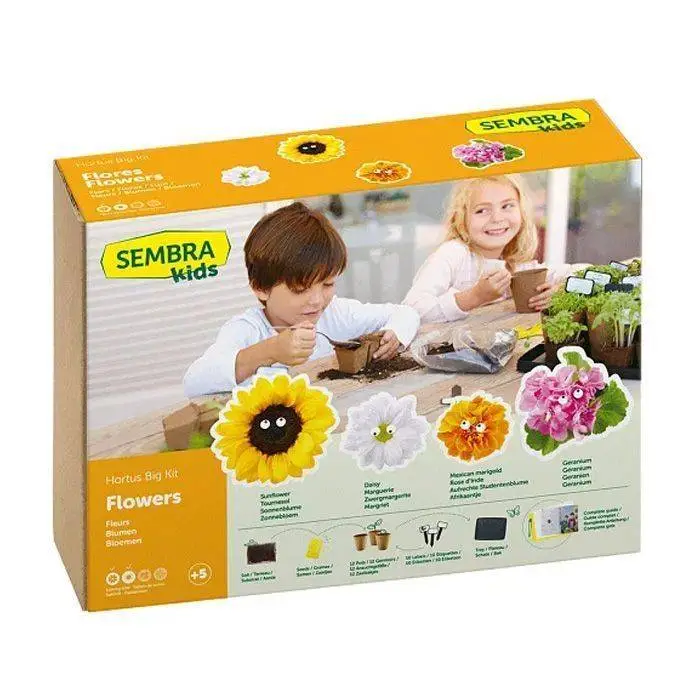 Summer Flowers Garden Growing Play Kit 1 Summer Flowers Garden Growing Play Kit