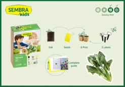 Sembra Kids - Spinach - Vegetable Garden Kit -Gun Garden Shop traditional garden games sembra spinach kit contents web png