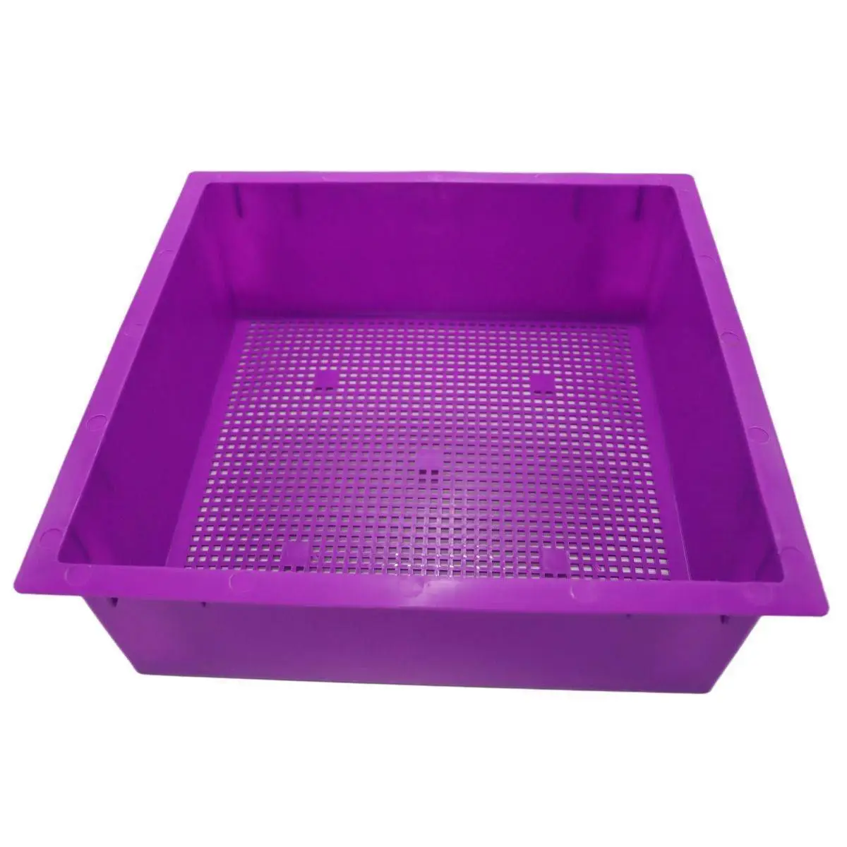 Tiger Wormery Tray In Purple 1 Tiger Wormery Tray In Purple