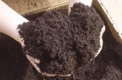 Living Green Worm Compost 100% Organic Vermicompost 40L Bag 7 Living Green Worm Compost 100% Organic Vermicompost 40L Bag -Gun Garden Shop worm castings 1 jpg