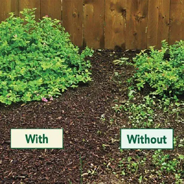 Living Green Pack Of 3 X 40L Worm Compost 100% Organic Vermicompost Bag 4 Living Green Pack Of 3 X 40L Worm Compost 100% Organic Vermicompost Bag - Image 4