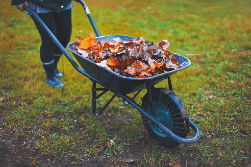 Gun Garden Shop 19 Gun Garden Shop -Gun Garden Shop person using a wheelbarrow to haul leaves across the lawn hmf